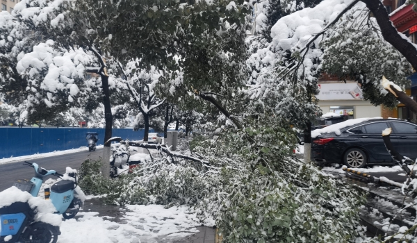 抗擊冰雪，他們?cè)谛袆?dòng)